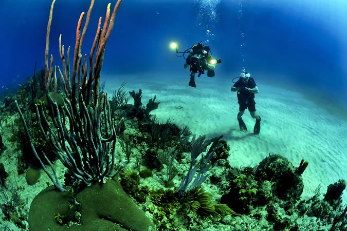 Choisir l’île de La Réunion pour la plongée sous-marine