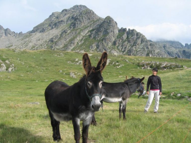 Que faire dans les Pyrénées cet été ?