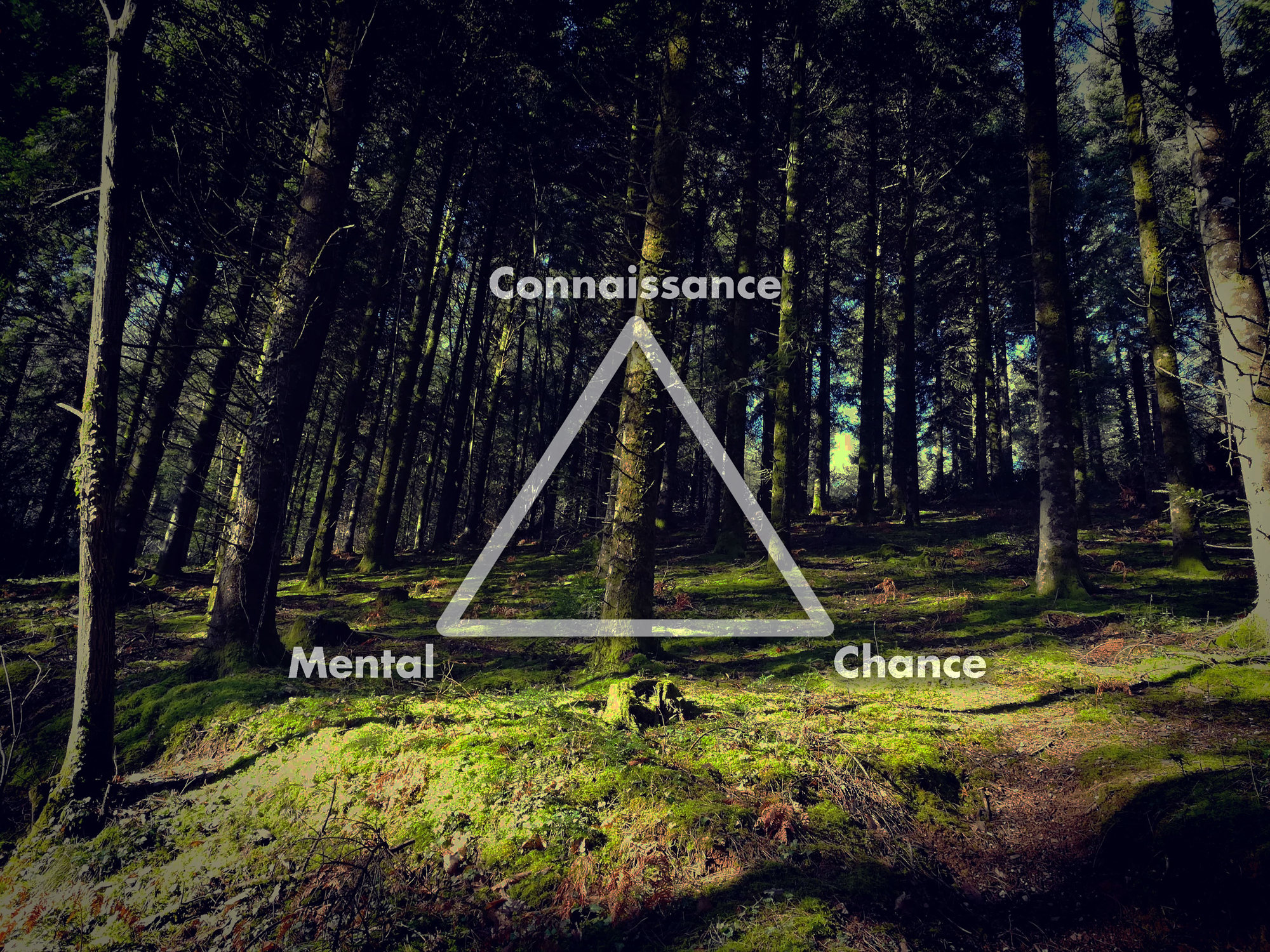 La règle du triangle d'Alexandre Sanche : connaissance, mental, chance