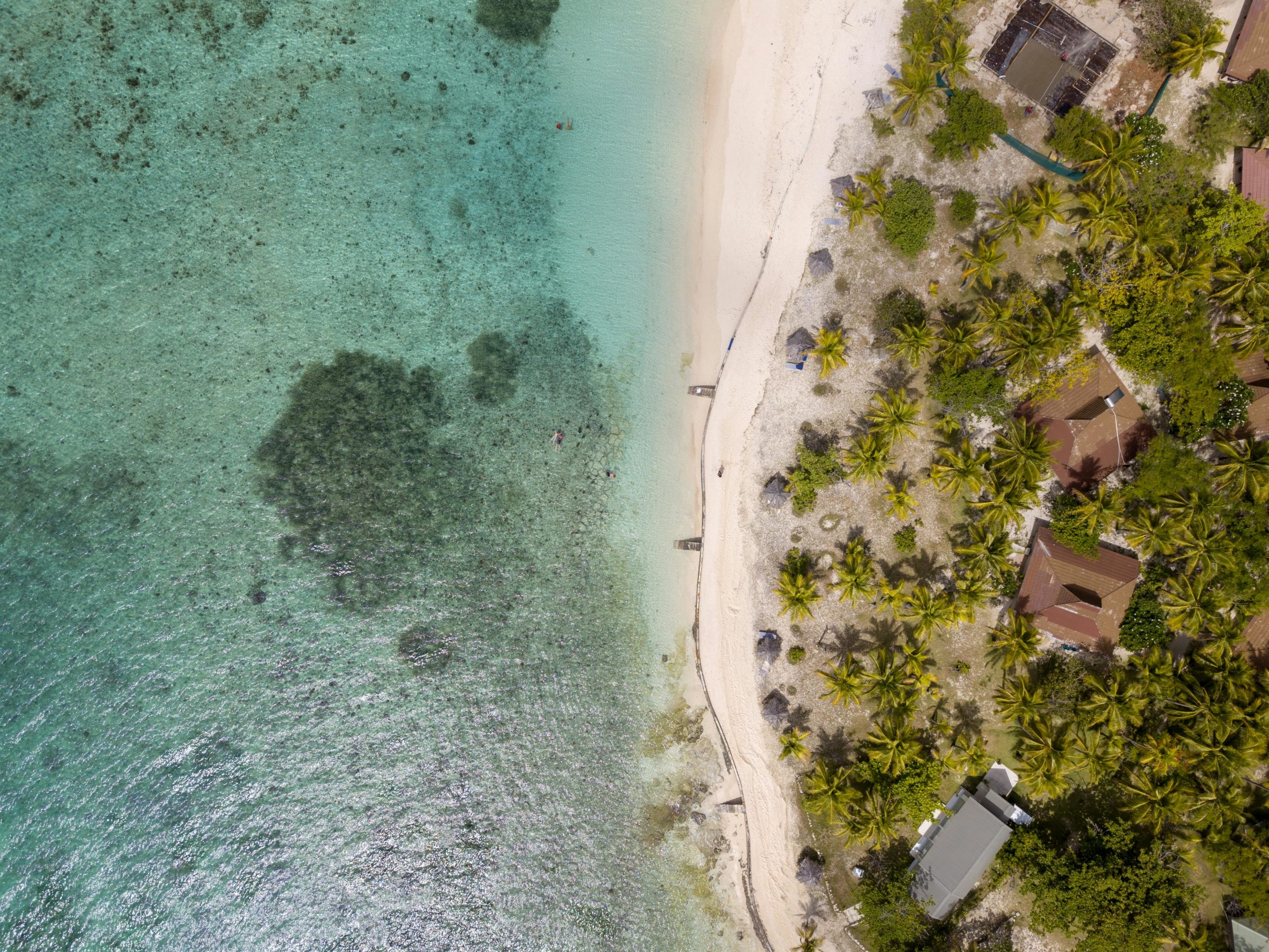 Vue aérienne d'une plage tropicale avec des eaux turquoises, du sable blanc et des palmiers.